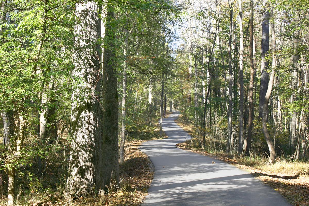 Powder Mill Road - Chapel Hill, NC 